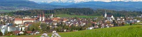 Muri Panorama Quelle Tourismus 