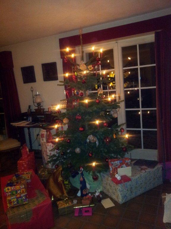 Weihnachtsbaum 2011