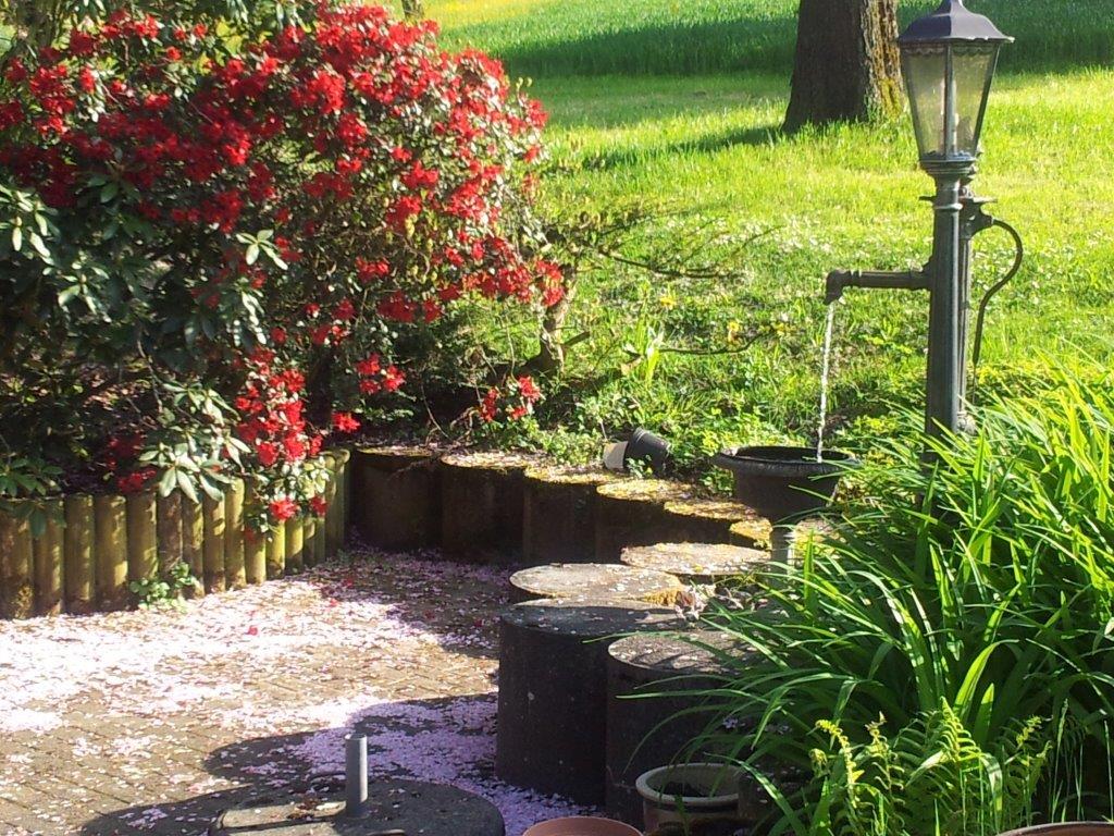 Brunnen und Rhododendren