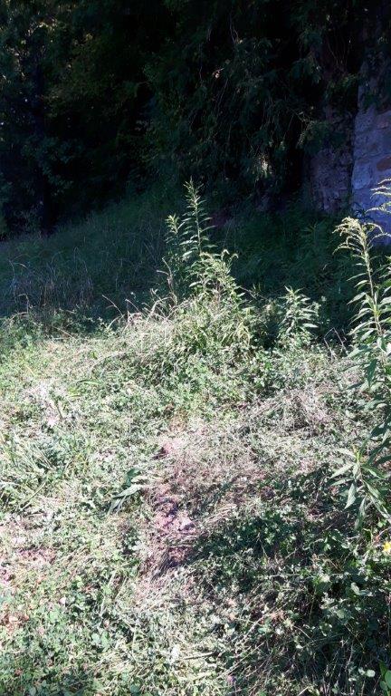 Ruhestätte in er Natur